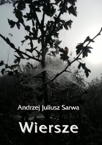 Wiersze - Andrzej Juliusz Sarwa