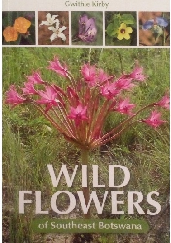 Wild Flowers of Southeast Botswana - Gwithie Kirby