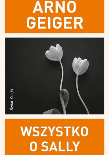 Wszystko o Sally - Arno Geiger