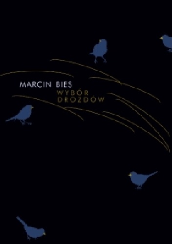 Wybór drozdów - Marcin Bies