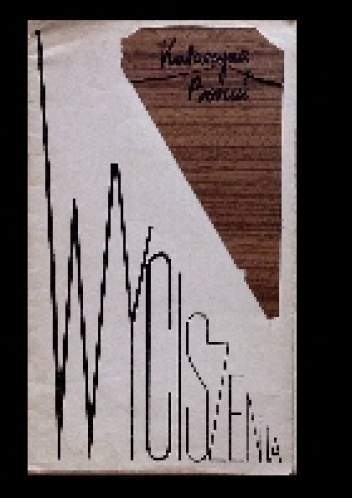 Wyciszenia - Katarzyna Boruń