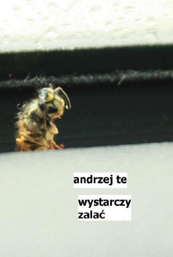 Wystarczy zalać - Andrzej Te