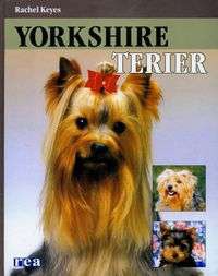 Yorkshire Terier - Rachel Keyes
