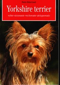 Yorkshire terrier - Biała-Gaus Karin