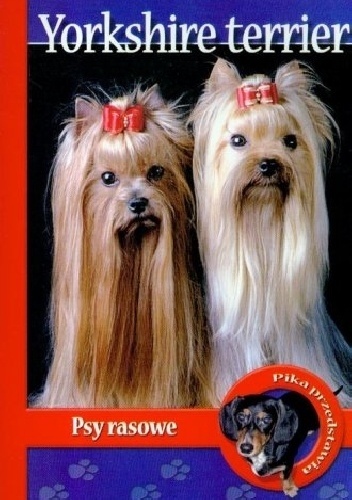 Yorshire Terrier. Psy rasowe - Magdalena Anna Pol