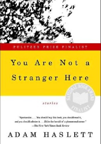 You Are Not a Stranger Here - Adam Haslett
