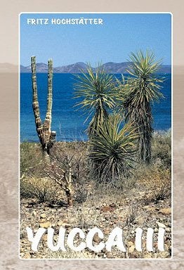 Yucca III - Fritz Hochstatter