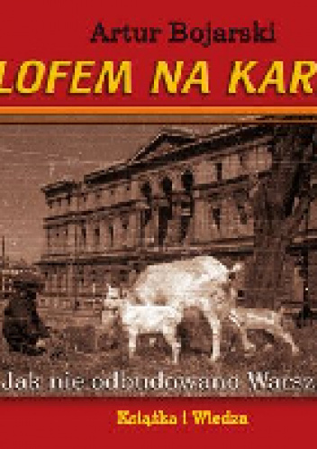 Z kilofem na kariatydę - Artur Bojarski