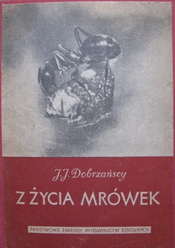 Z życia mrówek - Janina Dobrzańska, Jan Wojciech Dobrzański