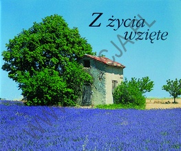 Z życia wzięte. Perełka 13 - praca zbiorowa