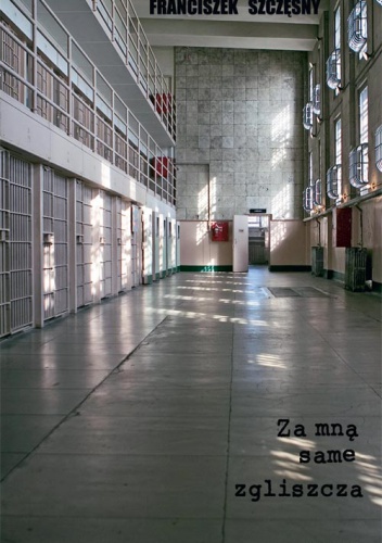 Za mną same zgliszcza - Franciszek Szczęsny