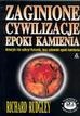 Zaginione cywilizacje epoki kamienia - Richard Rudgley
