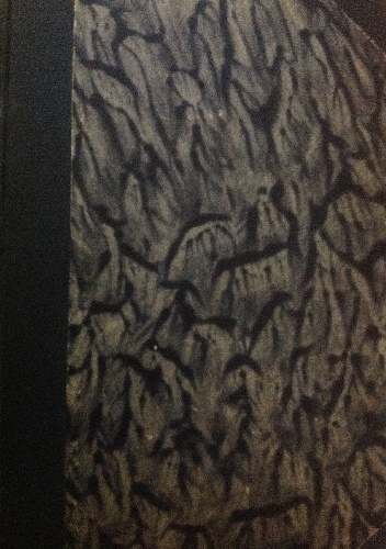 Zakopane skarby. Szkice i obrazki - Jan Zachariasiewicz, Marian Gawalewicz