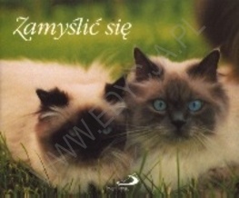 Zamyślić się. Perełka 6 - praca zbiorowa