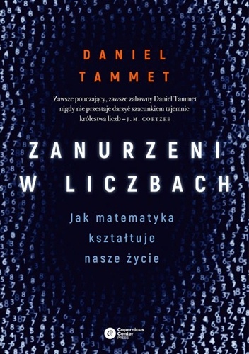 Zanurzeni w liczbach. Jak matematyka kształtuje nasze życie - Daniel Tammet