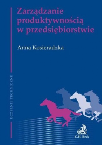 Zarządzanie produktywnością w przedsiębiorstwie - Kosieradzka Anna