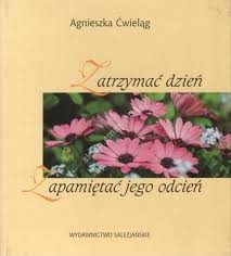 Zatrzymać dzień. Zapamiętać jego odcień - Agnieszka Ćwieląg