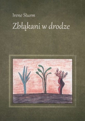 Zbłąkani w drodze - Irene Sturm