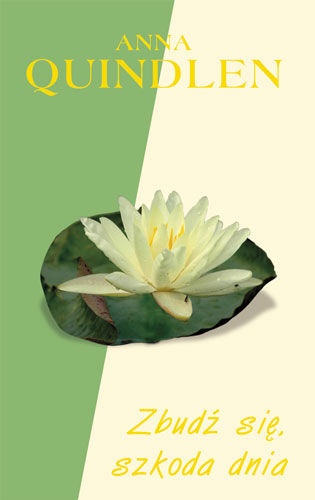 Zbudź się, szkoda dnia - Anna Quindlen