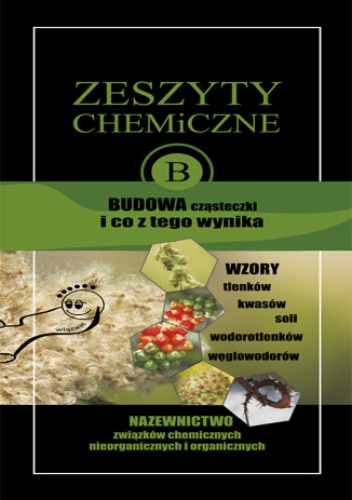 Zeszyty chemiczne. Budowa cząsteczki i co z tego wynika - Szklorz Małgorzata