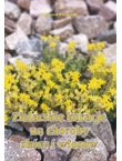 Zielarskie kuracje na choroby skóry i włosów - Zbigniew Przybylak