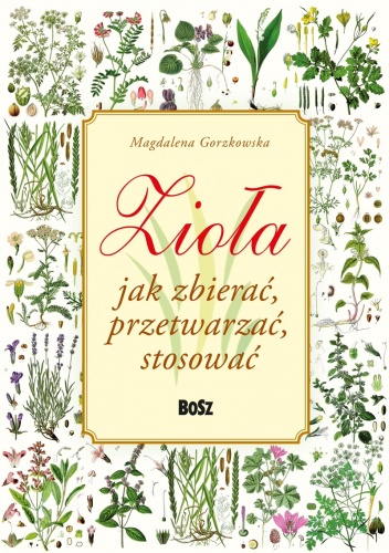Zioła. Jak zbierać, przetwarzać, stosować - Magdalena Gorzkowska