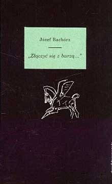 Złączyć się z burzą… Studia i szkice o romantycznych wyobrażeniach morza i egzotyki - Józef Bachórz