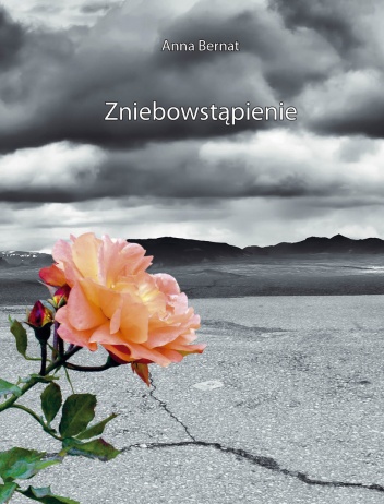 Zniebowstąpienie - Anna Bernat