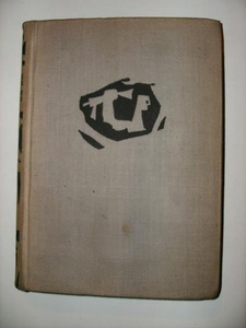 Żołnierze Starówki. Dziennik bojowy kpt. Ognistego - Lucjan Fajer