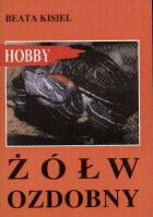 Żółw ozdobny - Beata Kisiel