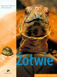 Żółwie zwierzęta w domu - Hartmut Wilke, Uwe Anders