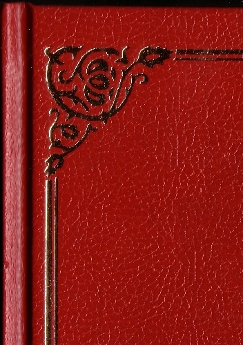 Zrozumieć Kota - Jan Krakowicz-Stępień