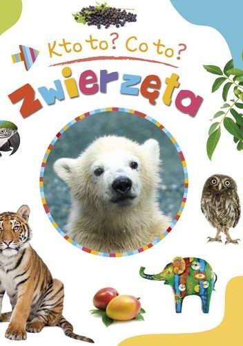 Zwierzęta. Kto to? Co to? - Agnieszka Bator