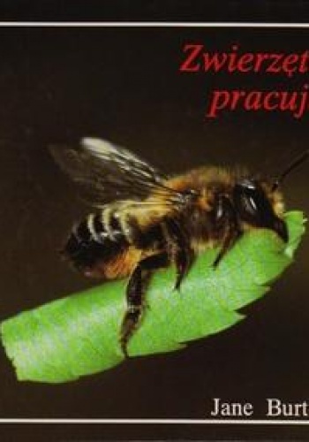 Zwierzęta pracują - Jane Burton