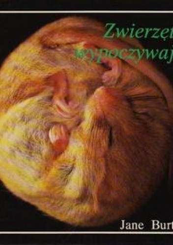 Zwierzęta wypoczywają - Jane Burton