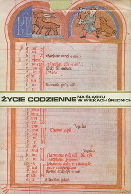 Życie codzienne na Śląsku w wiekach średnich - Ryszard Kiersnowski