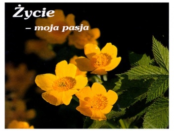 Życie - moja pasja. Perełka 11 - praca zbiorowa