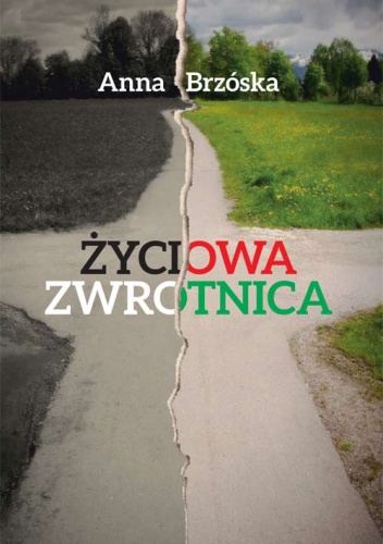 Życiowa zwrotnica - Anna Brzóska