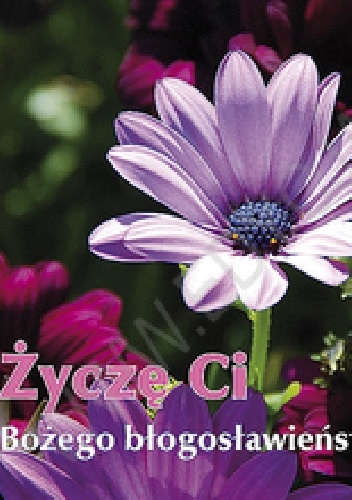 Życzę Ci Bożego błogosławieństwa. Perełka 215 - praca zbiorowa