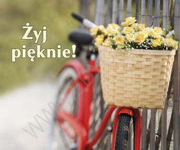 Żyj pięknie! - praca zbiorowa