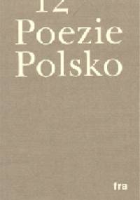 12x poezie polsko