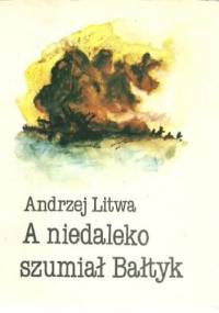 A niedaleko szumiał Bałtyk - Andrzej Litwa