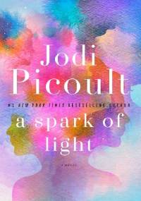 A Spark of Light - Jodi Picoult