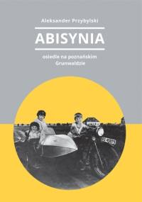 Abisynia – osiedle na poznańskim Grunwaldzie - Aleksander Przybylski