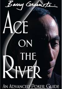 Ace On The River: An Advanced Poker Guide - Barry Greenstein