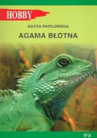 Agama błotna - Agata Pawłowska