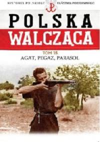 "Agat", "Pegaz", "Parasol" - Robert Szcześniak
