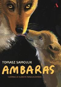 Ambaras - Tomasz Samojlik