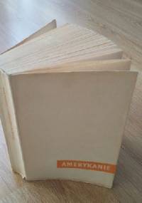 Amerykanie - Stanisław Mierzeński