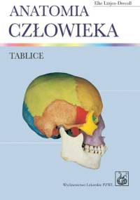 Anatomia człowieka. Tablice - Johannes W. Rohen, Elke Lutjen-Drecoll